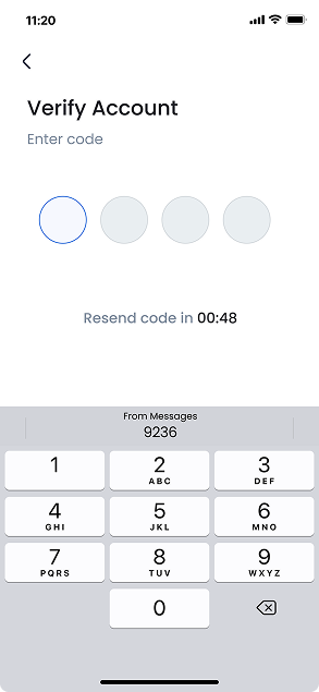 Verification code entry screen
